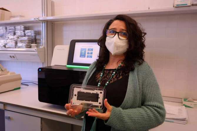 Novedades