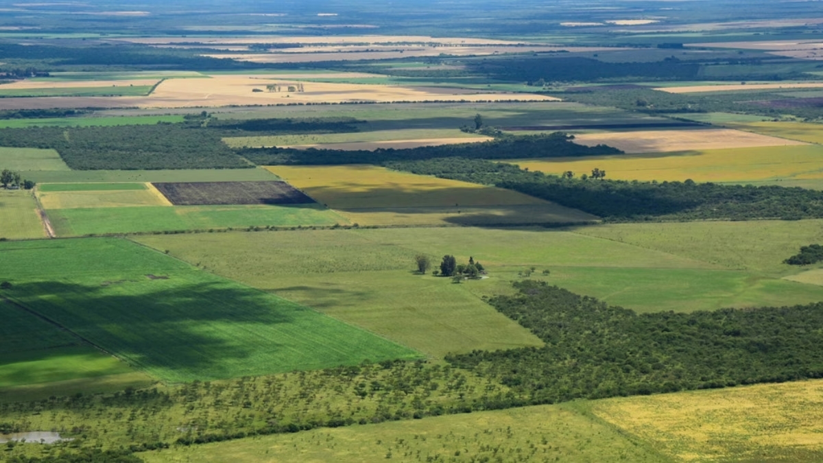 Sin Ley de Tierras y con un mar para empresarios: qué hay detrás del remate de los recursos estratégicos de Argentina