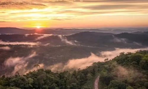 Misiones va a la Justicia por la venta de tierras a extranjeros