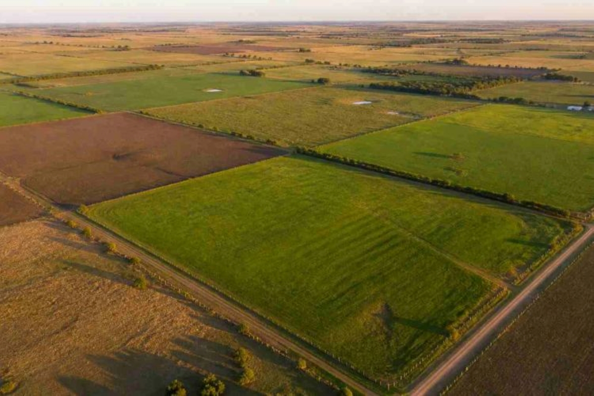 La Corte Suprema suma dos jueces y reabre el debate ambiental sobre la derogación de la Ley de Tierras