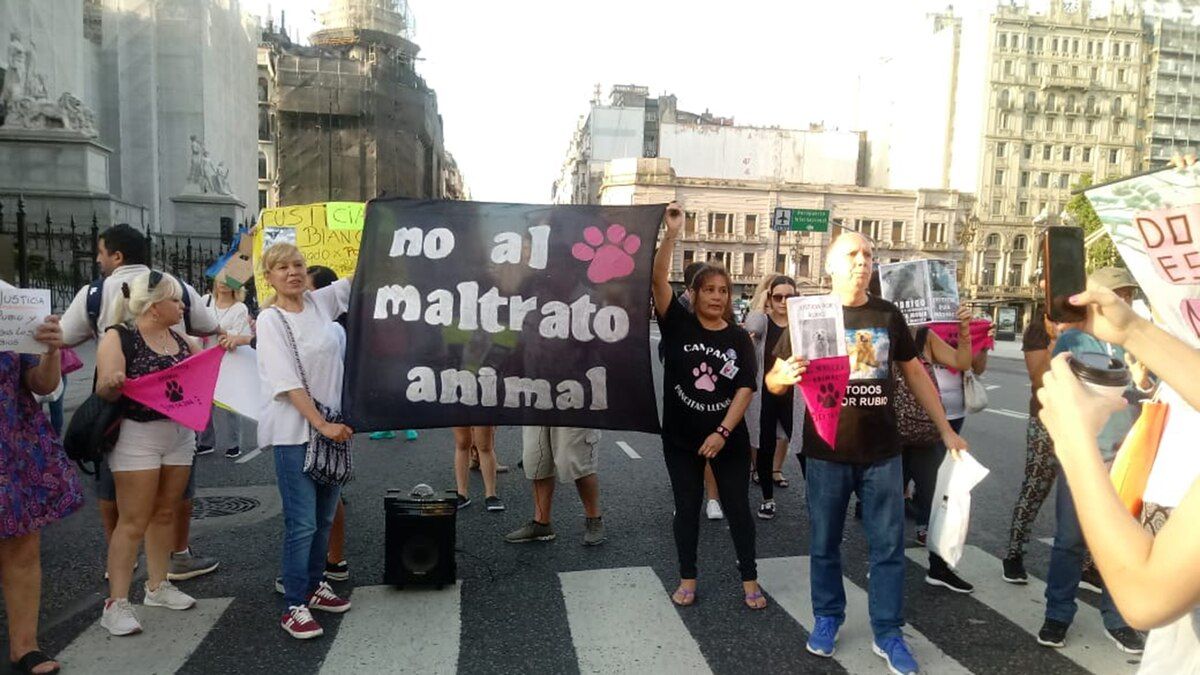 Marcha nacional contra el maltrato animal en Argentina: exigen el aumento de penas de la Ley 14.346