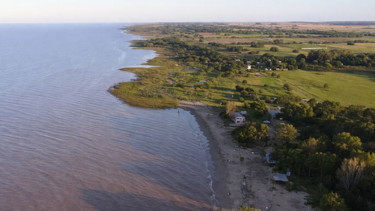 Parque Costero del Sur en Buenos Aires: reconocido por su biodiversidad protegida por la UNESCO desde 1984